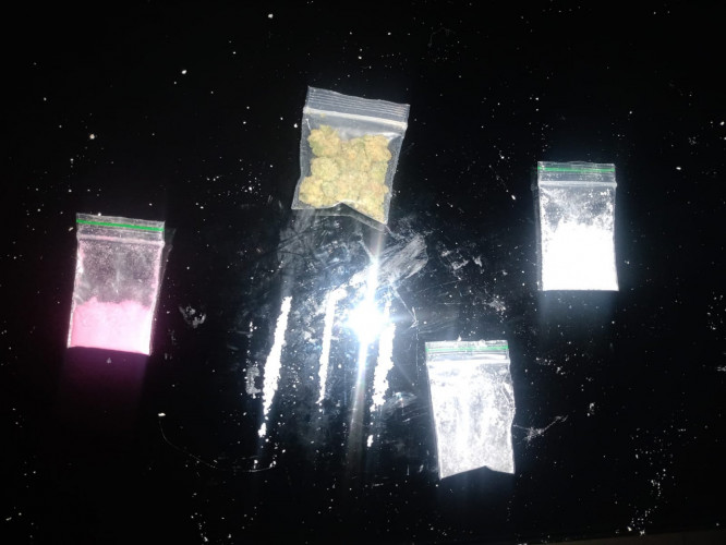 Pasión Latina Party🎉