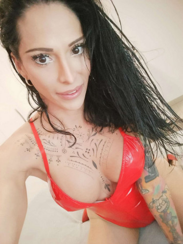 Bela