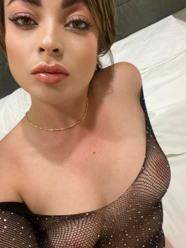 Noha