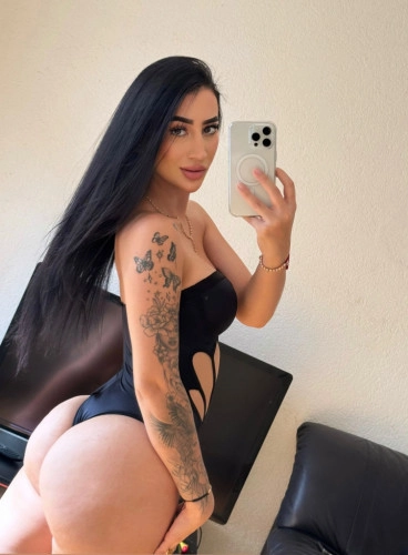 Sofia exotica
