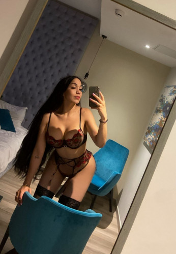 NEW 🎉PAMELA DOMINATRIX LATIN EXOTIC TR🎉