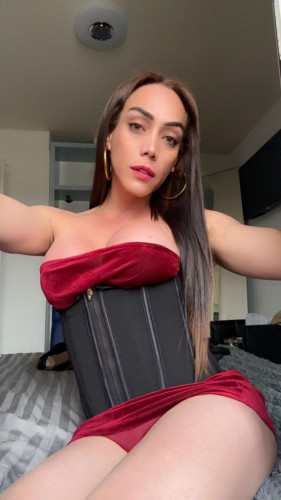 Zara / Latín New Party