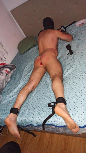 RUBY TRANS ONLY ACTIVE  MISTRESS DOMINANT