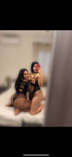 Amira latina